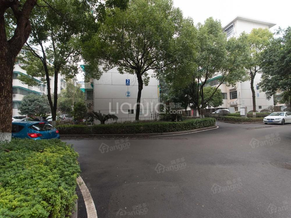 长塘山村小区图片