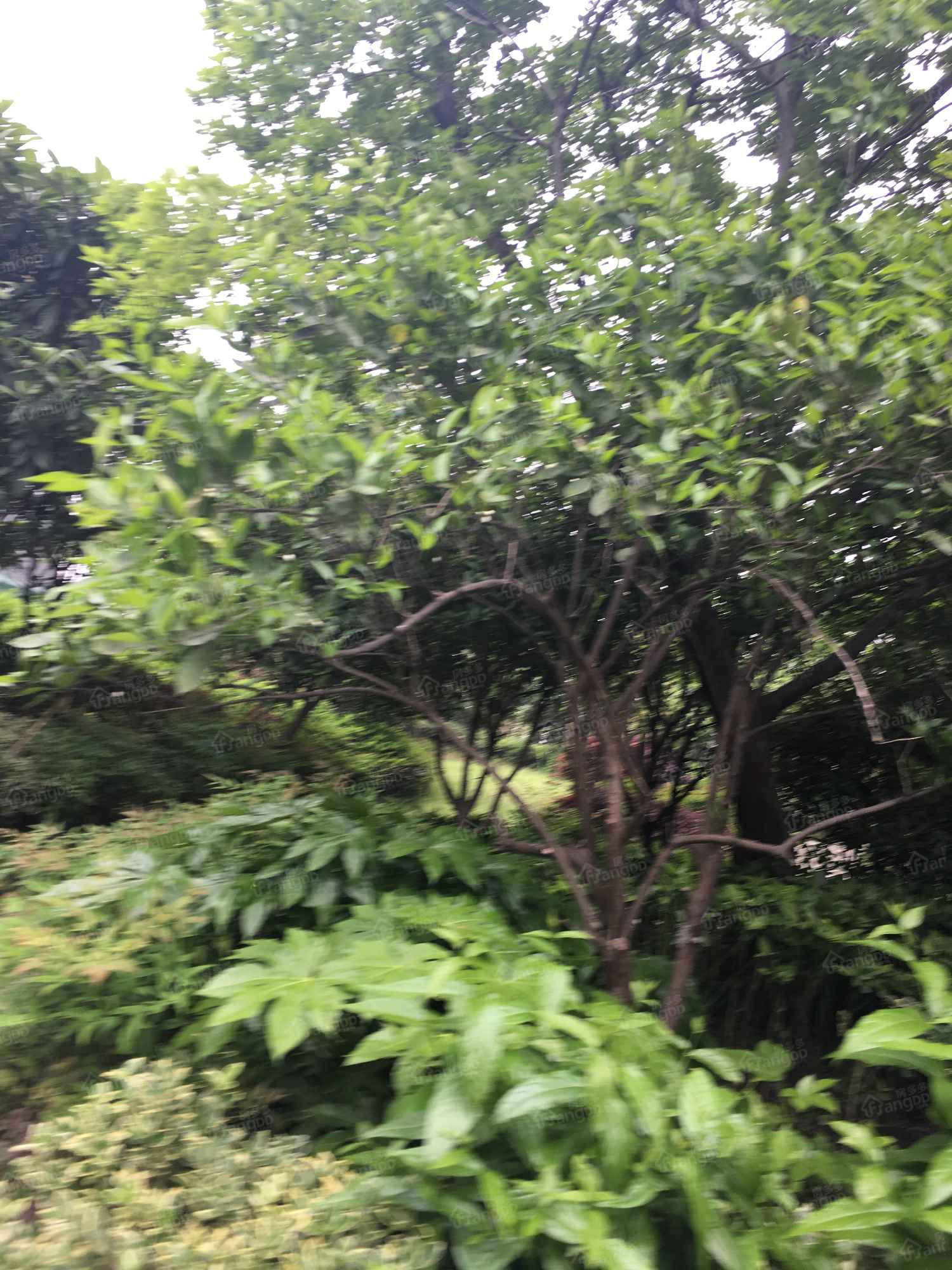 牛田苑小区图片