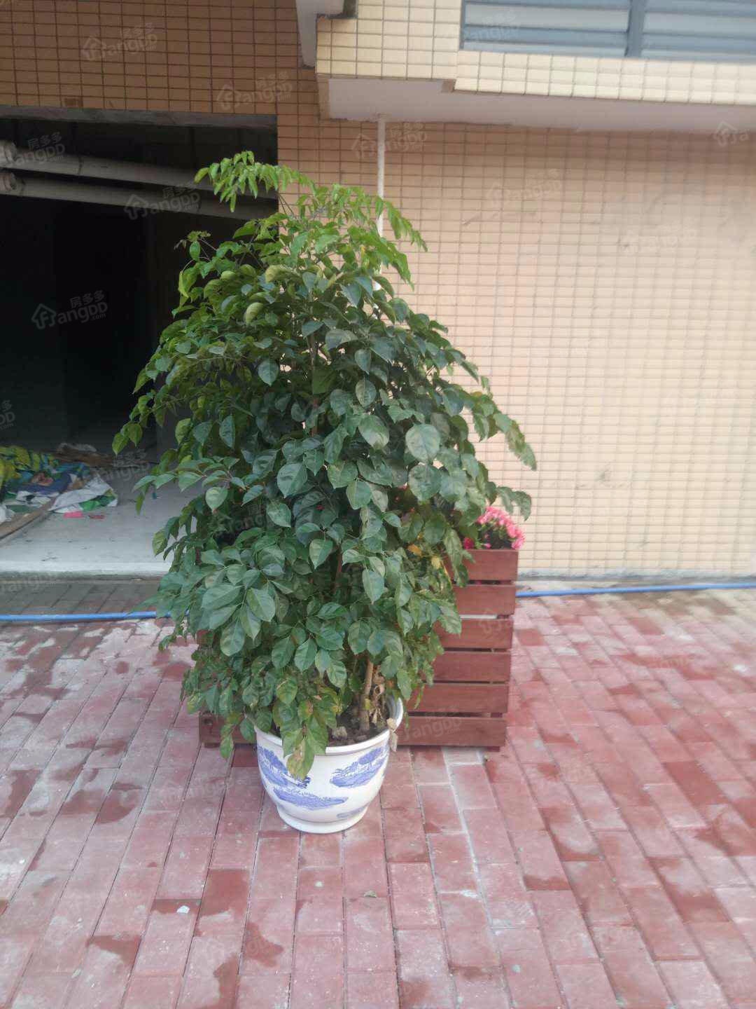 山璟轩小区图片