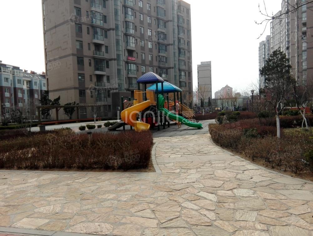 启明路东小区小区图片