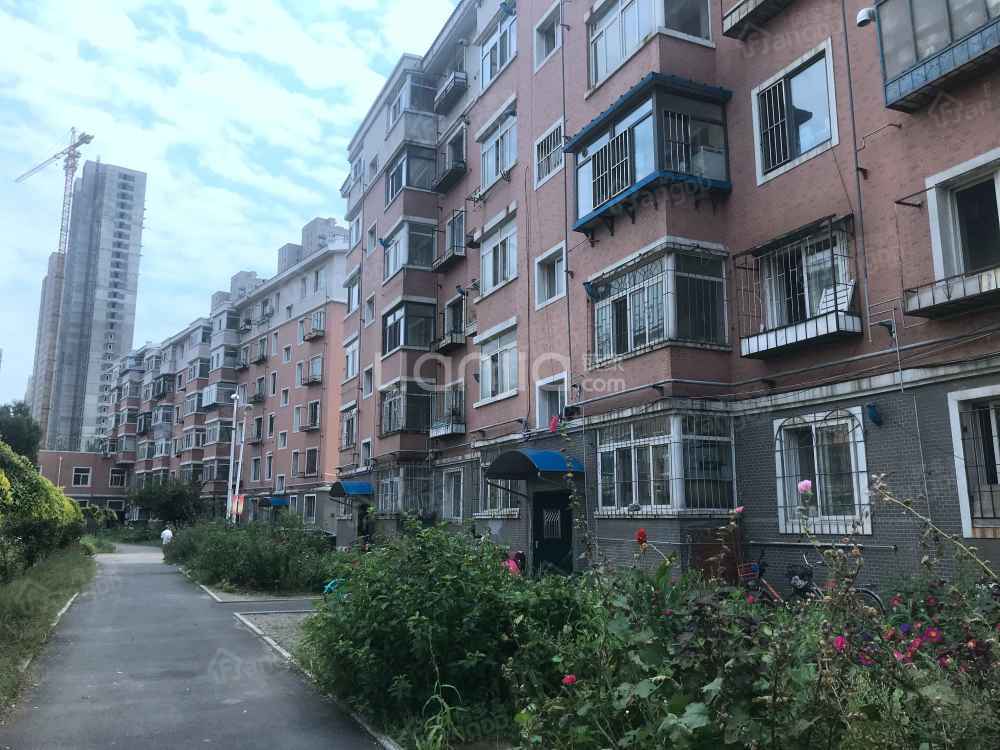 苏家新苑小区图片