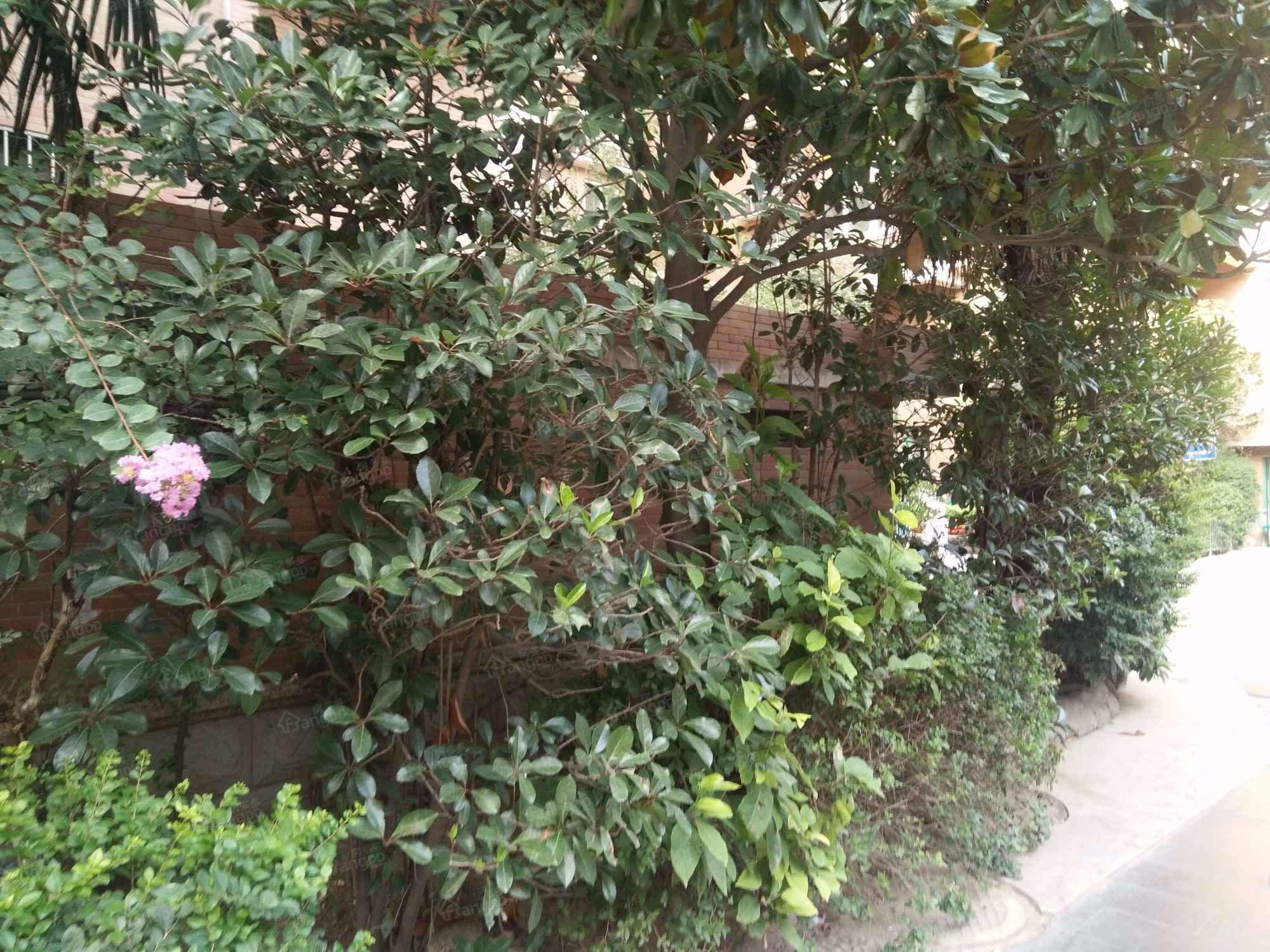 凯丽大厦小区图片
