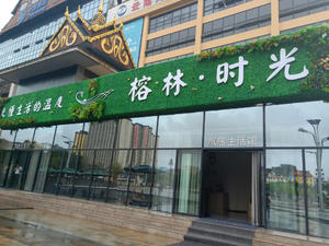 西双版纳榕林时光