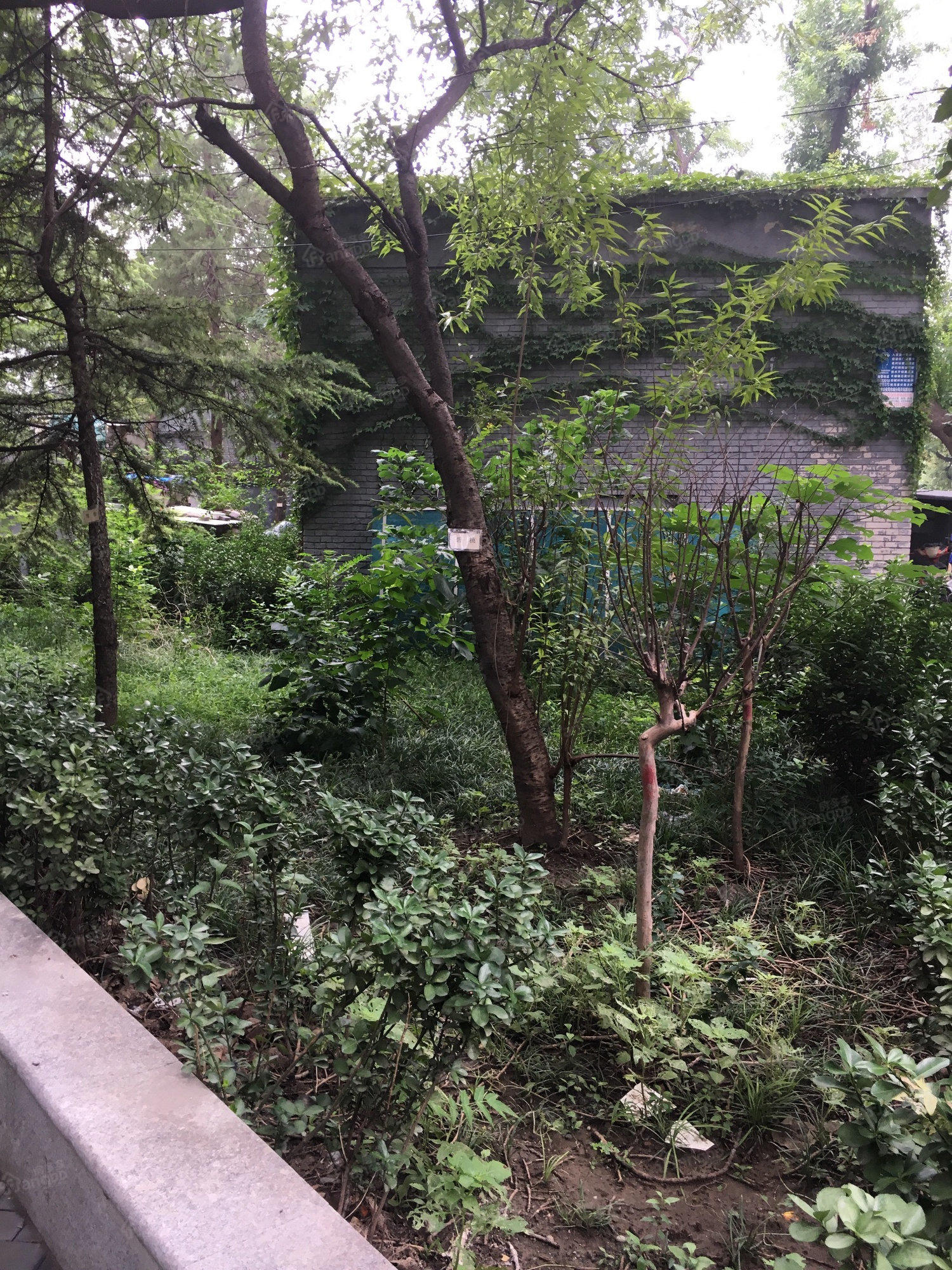 天坛东里南区小区图片