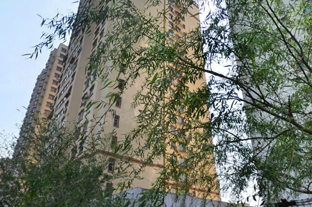 翔凤社区小区图片