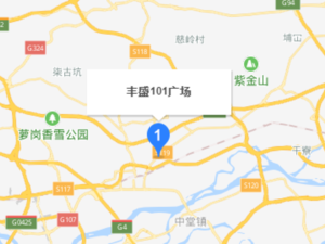 丰盛101