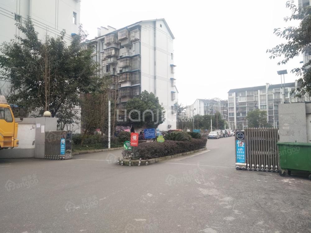 双桂新民居小区图片
