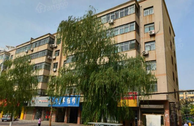 风和日丽图片