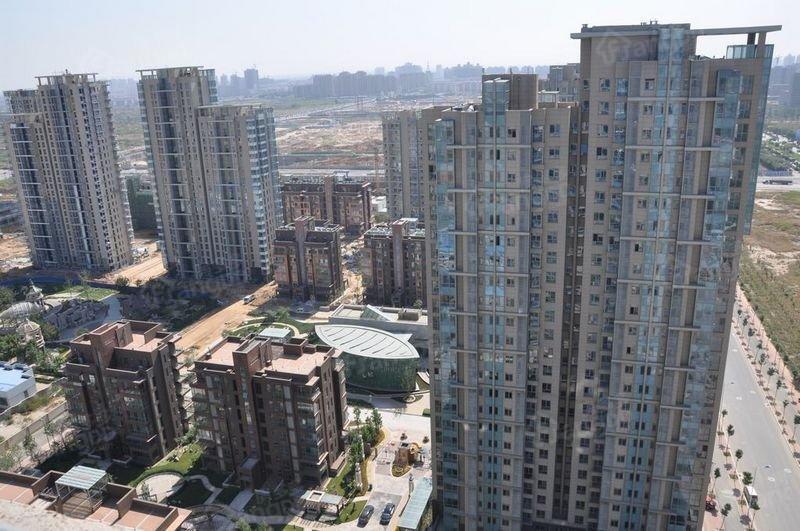 梧桐大道小区图片