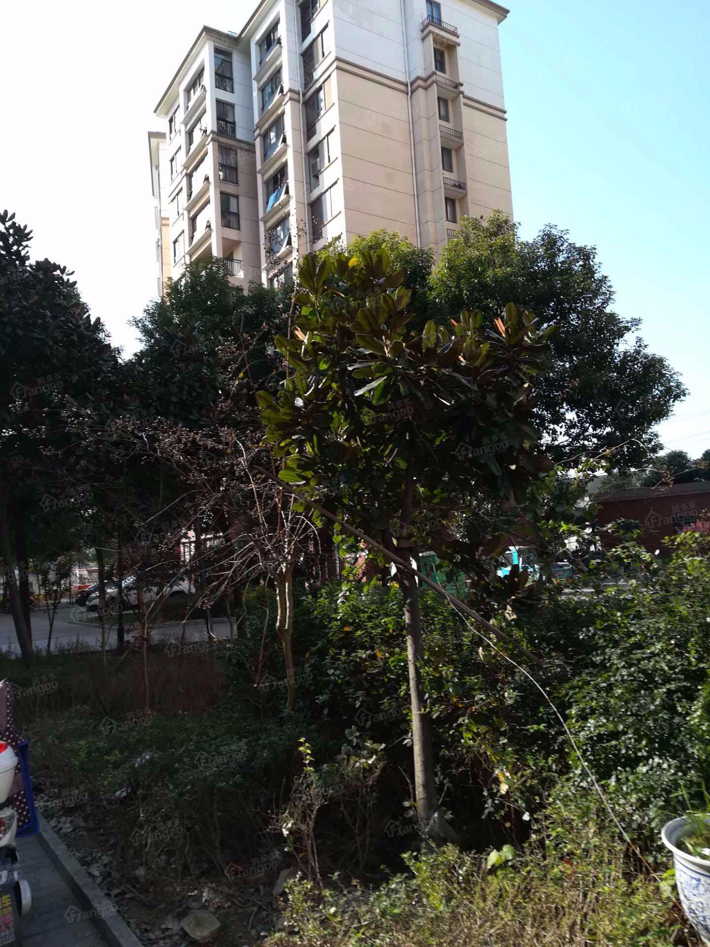悦欣庭苑小区图片