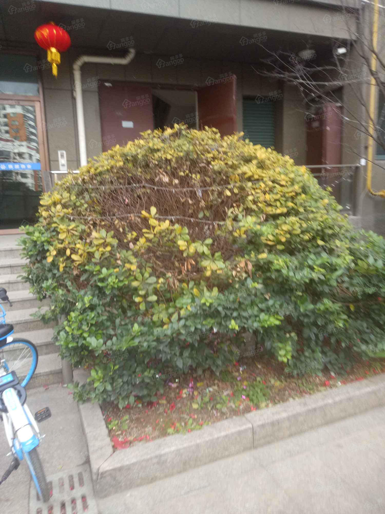 阳光大厦(乐清)小区图片