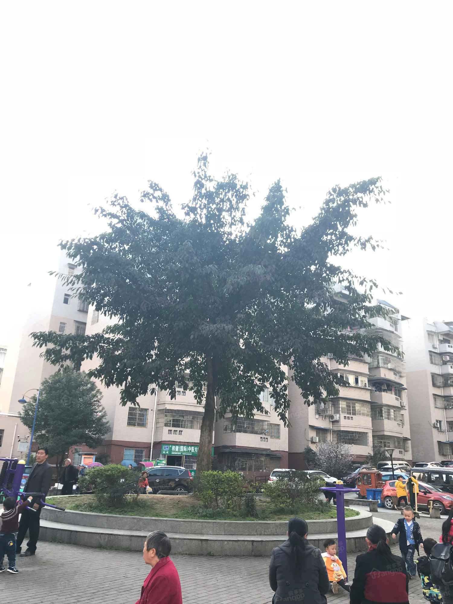 硫磺小区小区图片