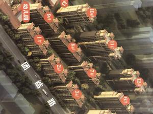 新野建业森林半岛