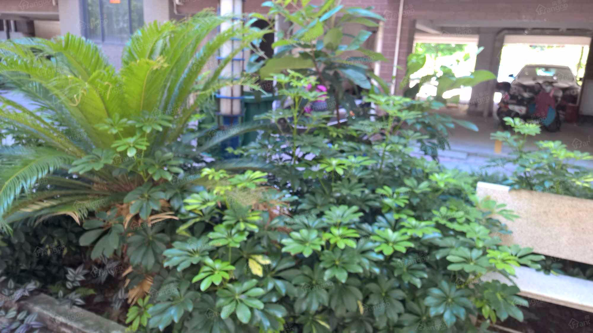翰邻雅筑小区图片