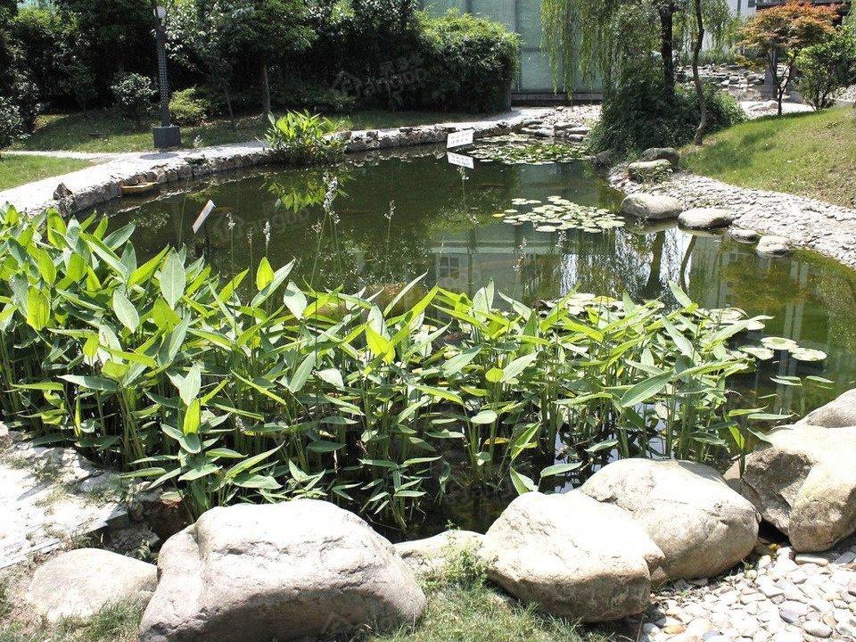 静安慕舍小区图片