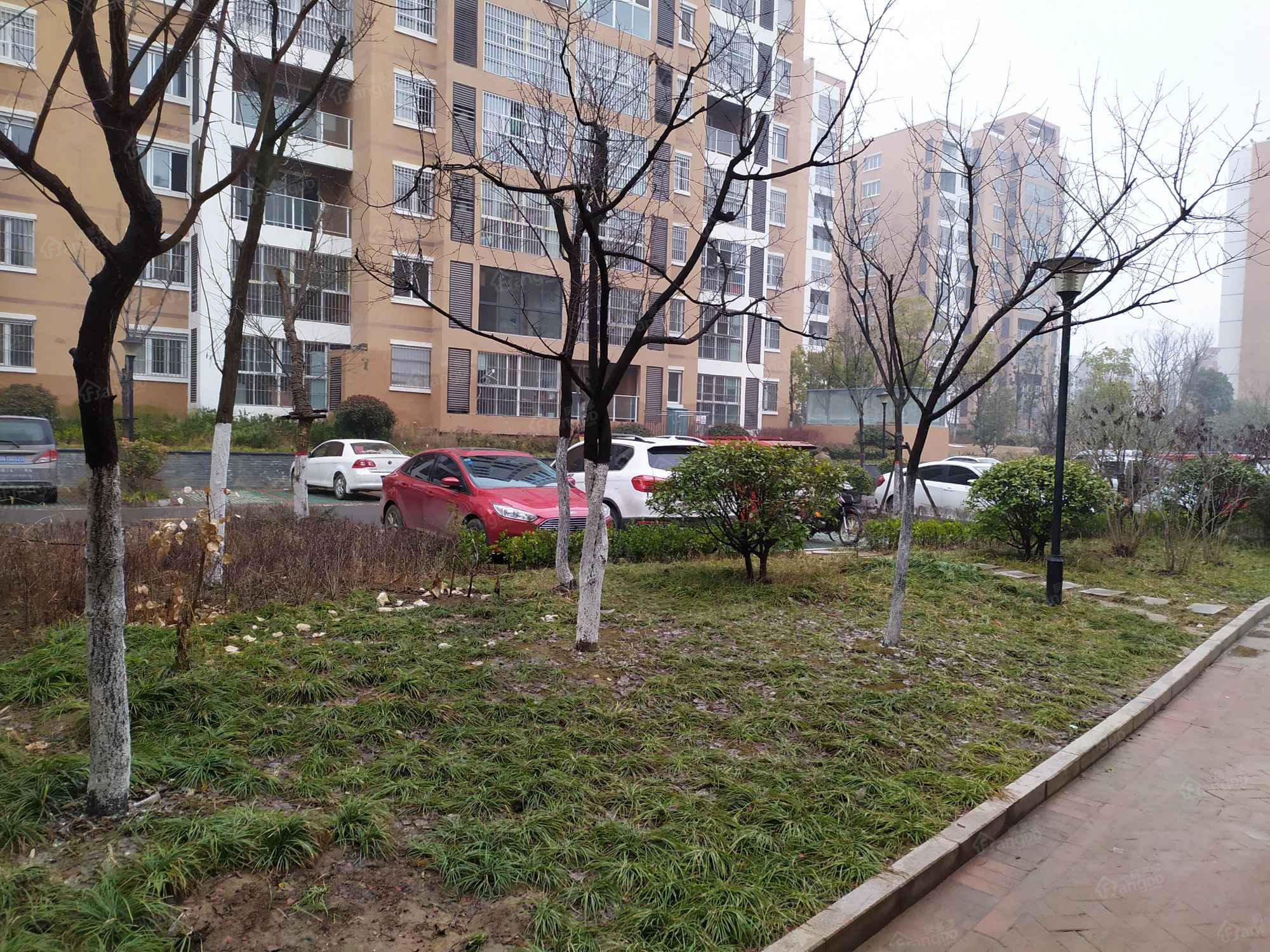 三树新城图片