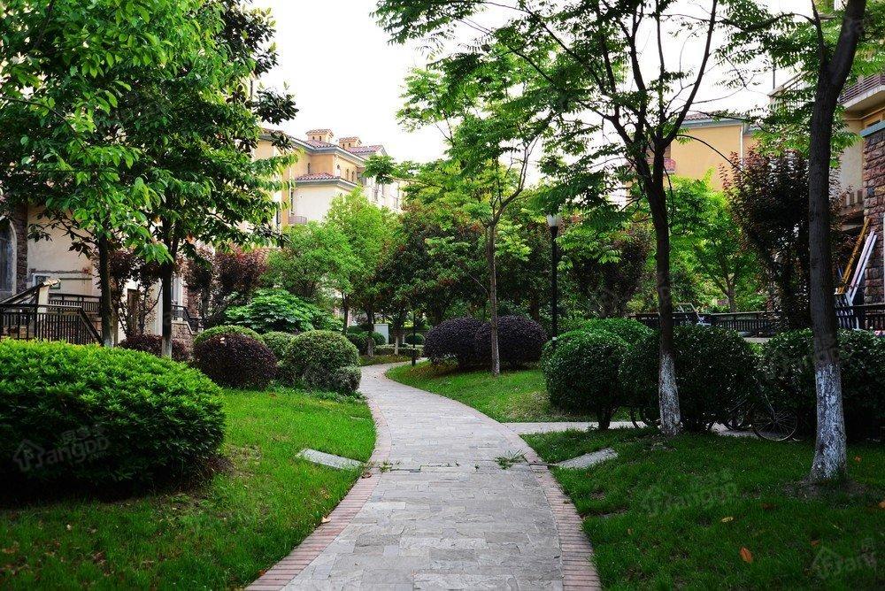三合泰城小区图片