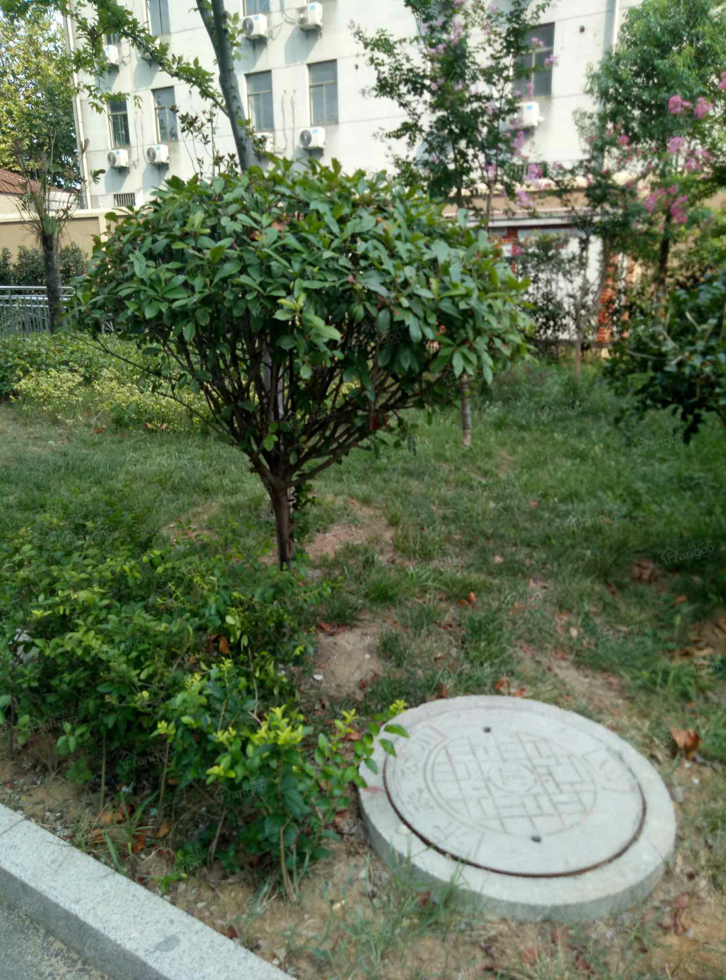 尚城领寓小区图片