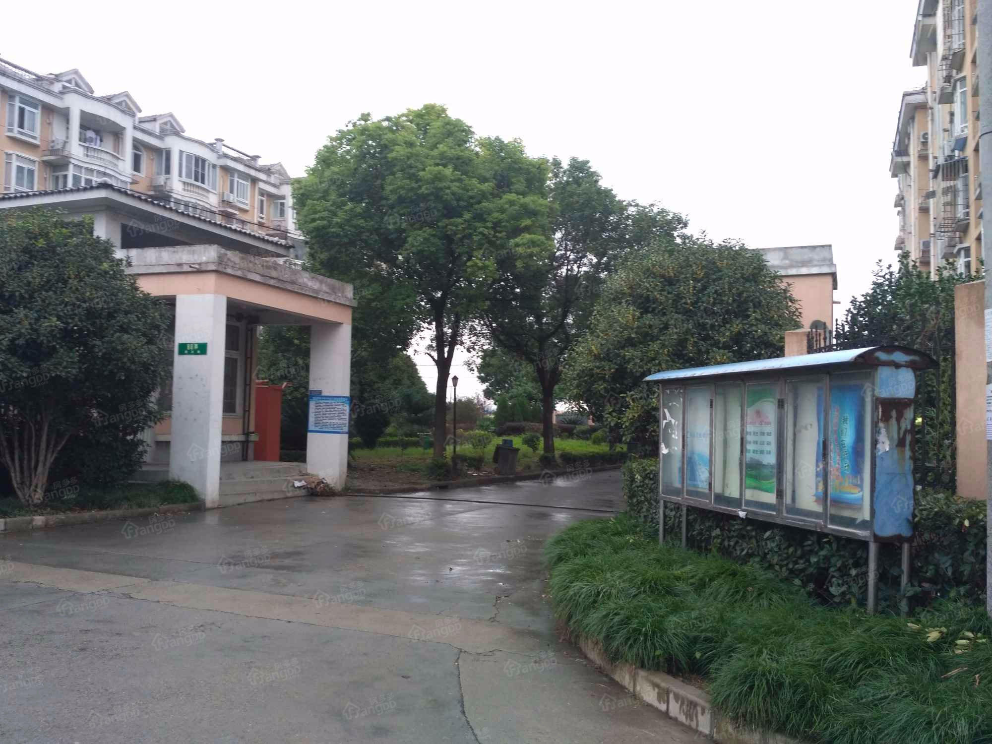 金旭新苑小区图片
