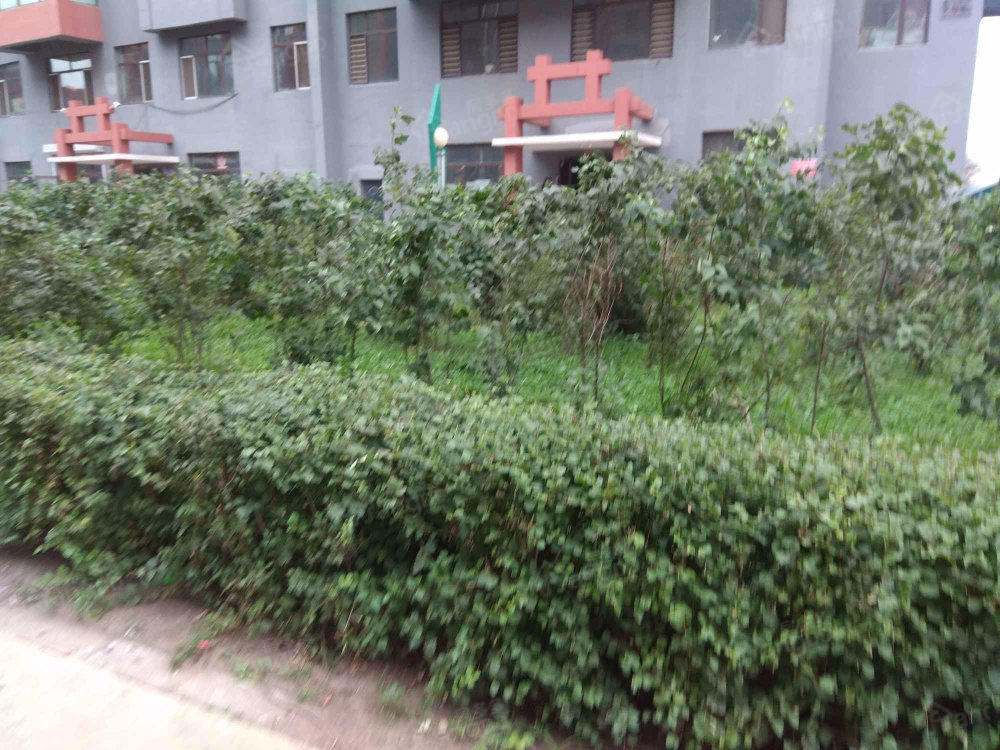 盛福佳园小区图片