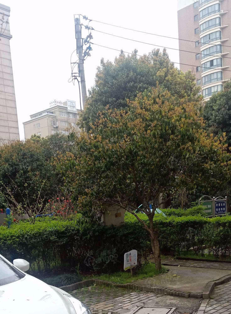 庆丰玫瑰苑小区图片