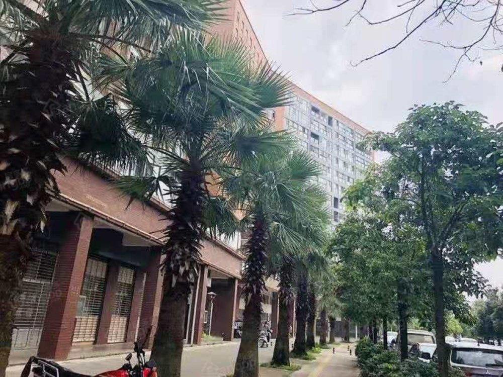 世纪阳光小区图片