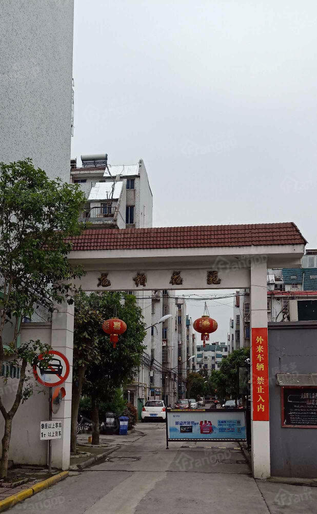 龙柏花苑南区图片