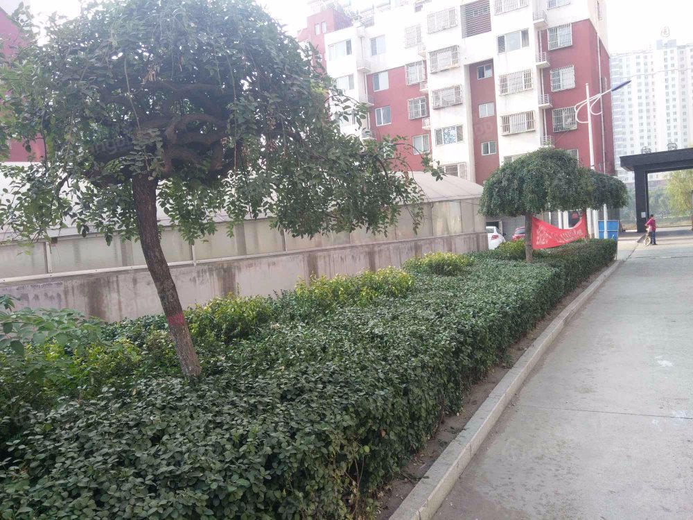 金水家园小区图片