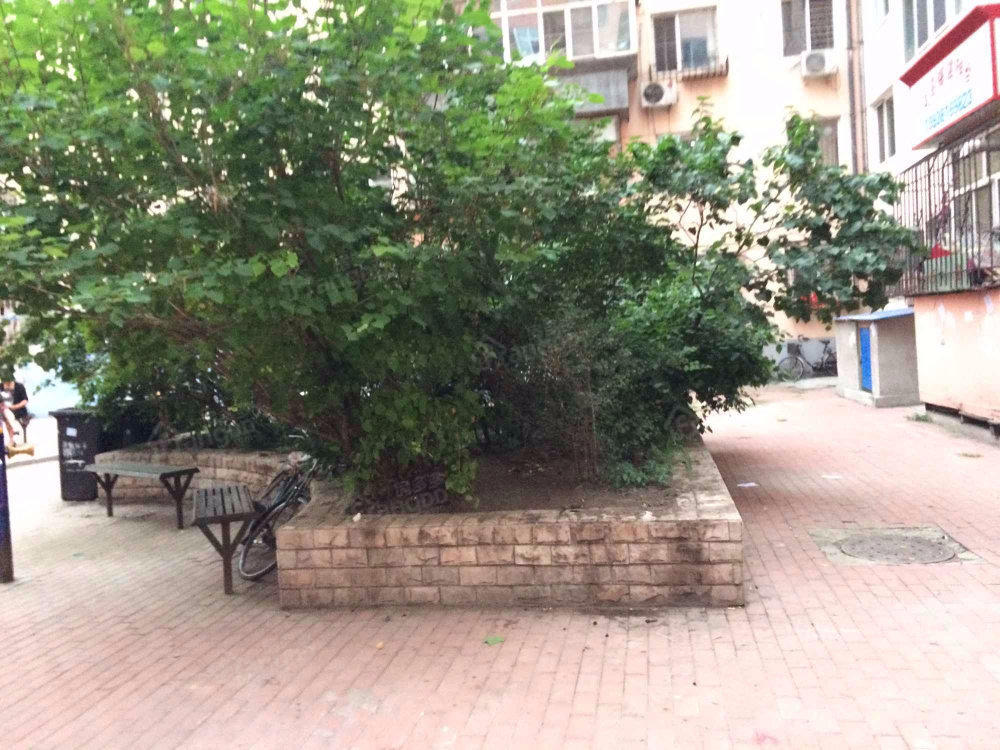 河阳街小区图片