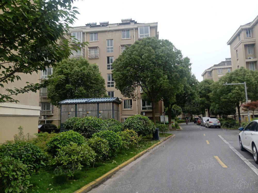 大树花苑小区图片