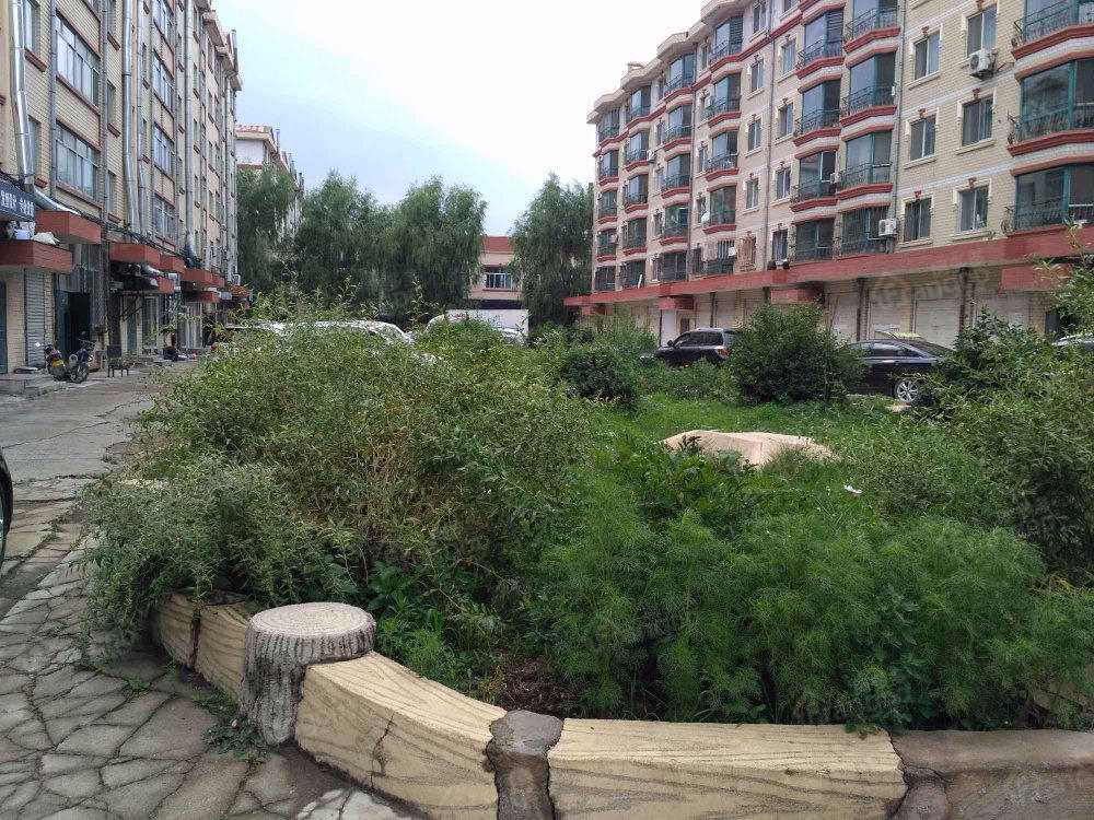 友谊家园(南区)小区图片