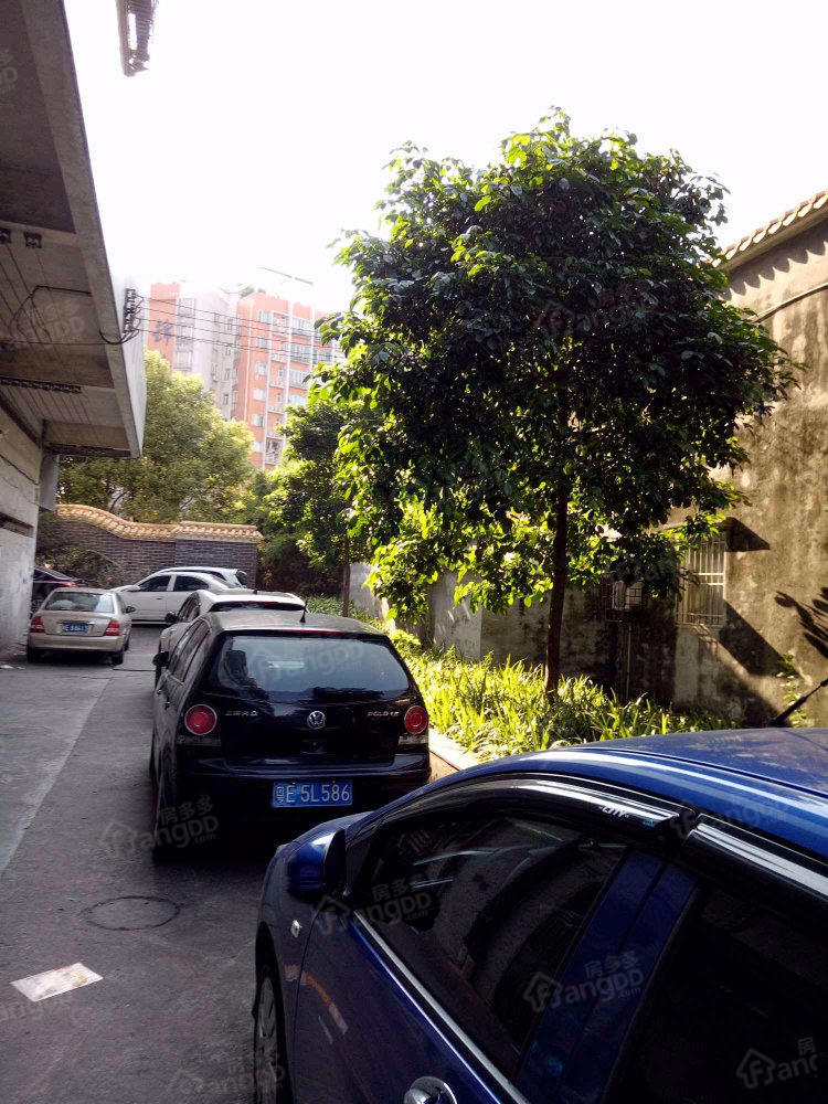 市东上路120号小区小区图片