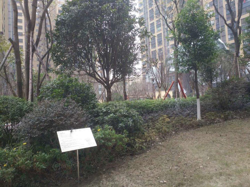 中玮海润城(绵州大道中段)小区图片