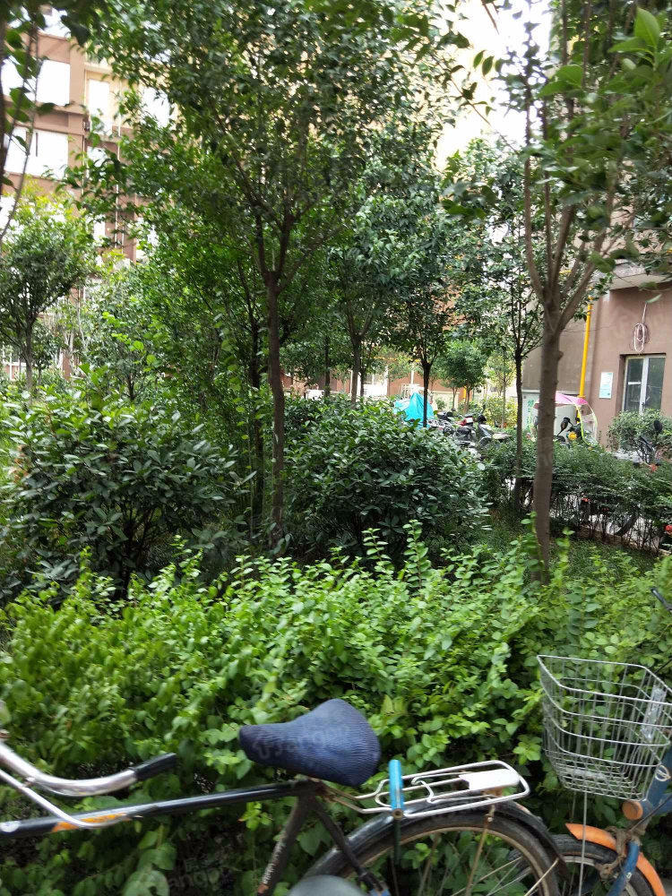 东晟阳光新城小区图片