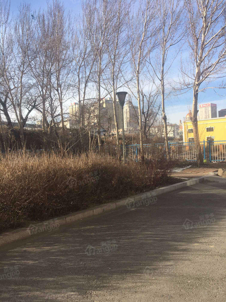 哈尔滨市八区体育公寓小区图片