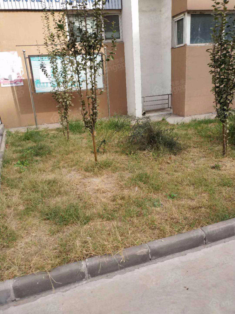 兴安小区小区图片