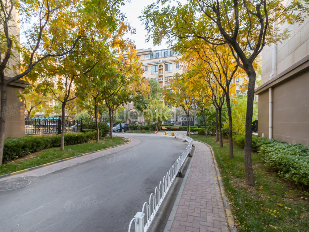 邑上公馆小区图片