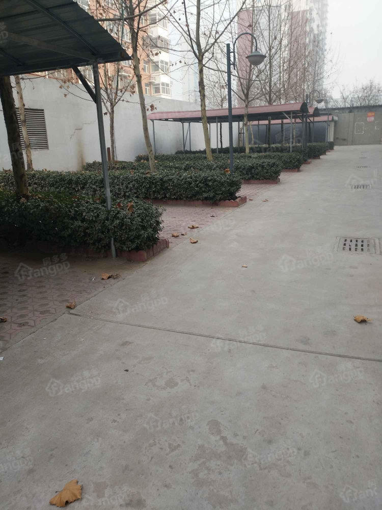 东城佳苑小区图片