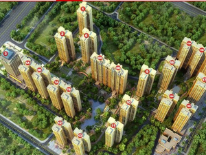 东方绿洲