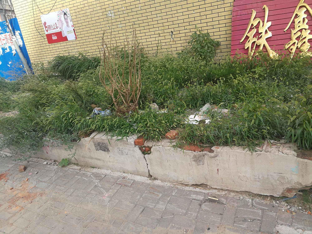 建阳社区小区图片