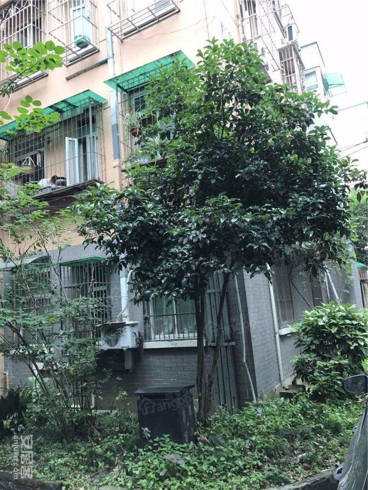 马塍路13号小区图片