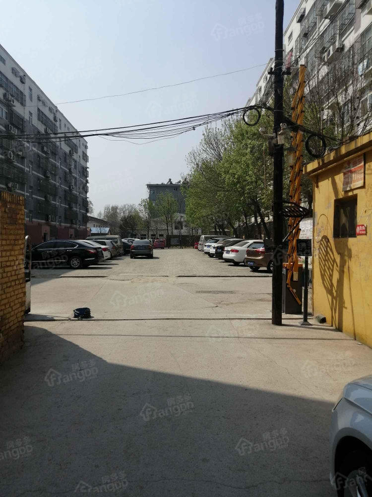 依中园图片