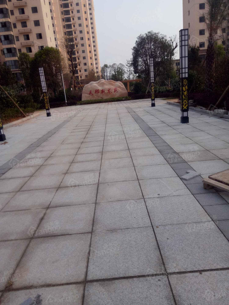 天邦新龙苑图片