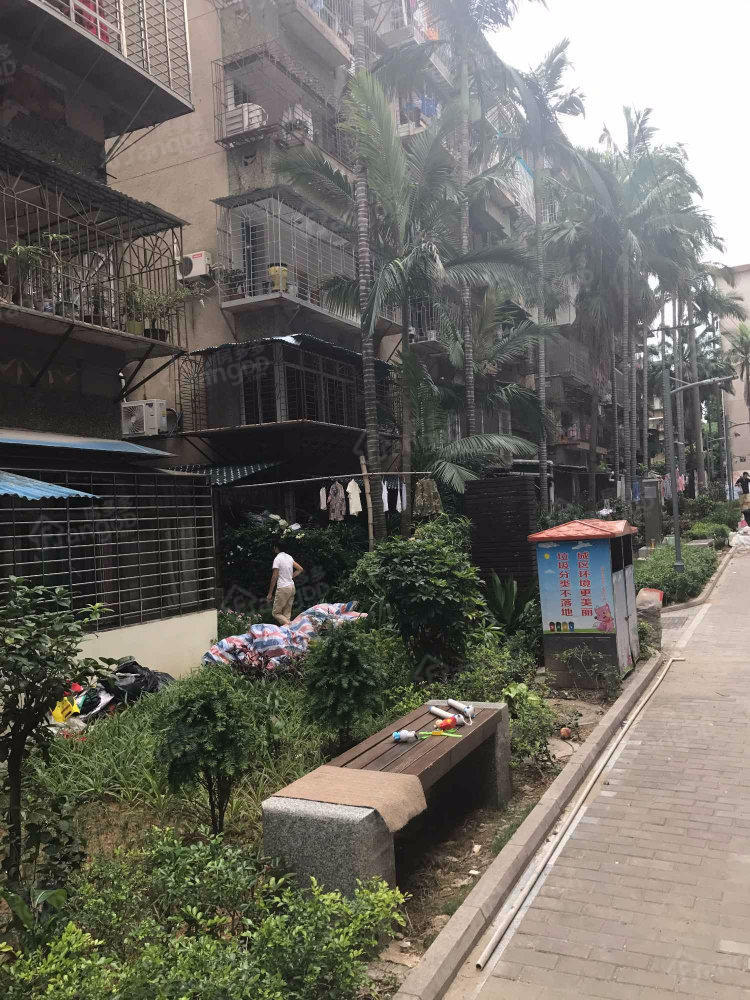 图强路小区小区图片