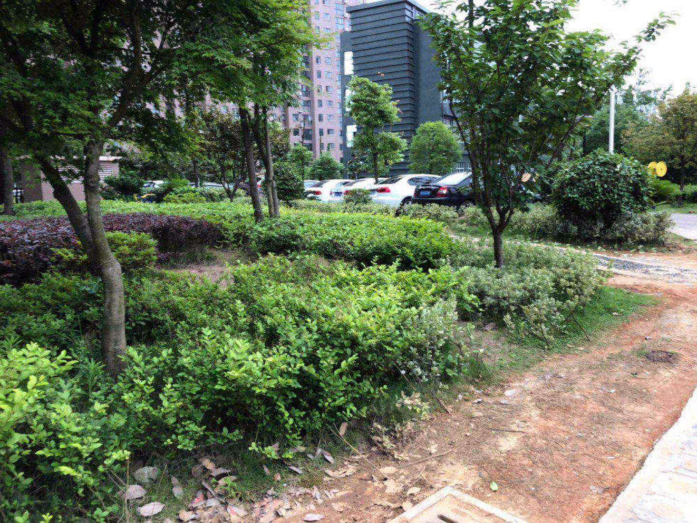 月畔湾小区图片