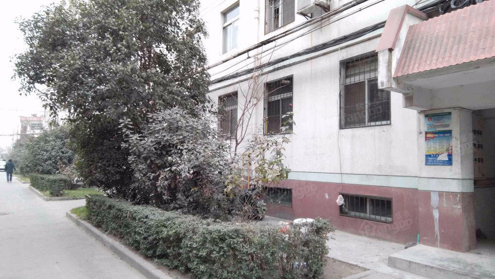 滨河小区小区图片