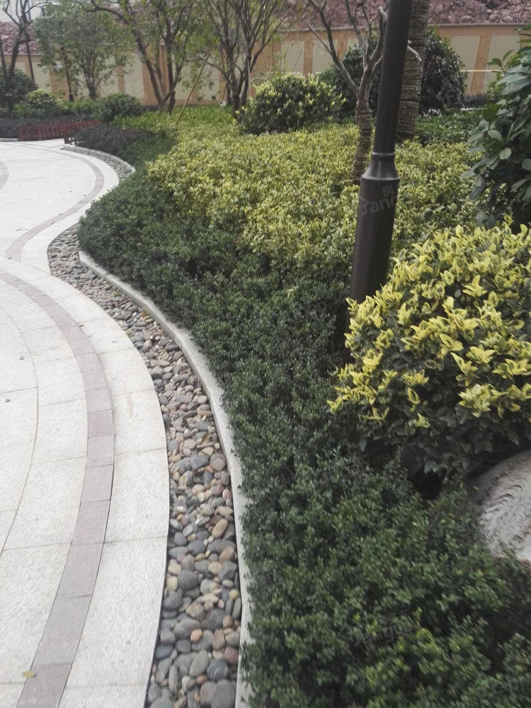 紫荆府小区图片