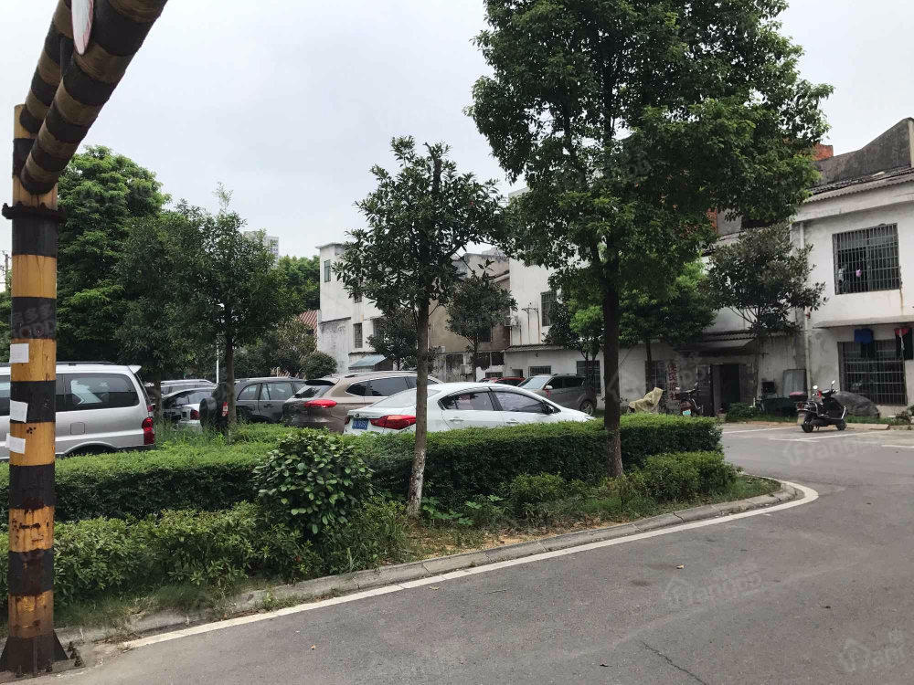 红建金城小区图片