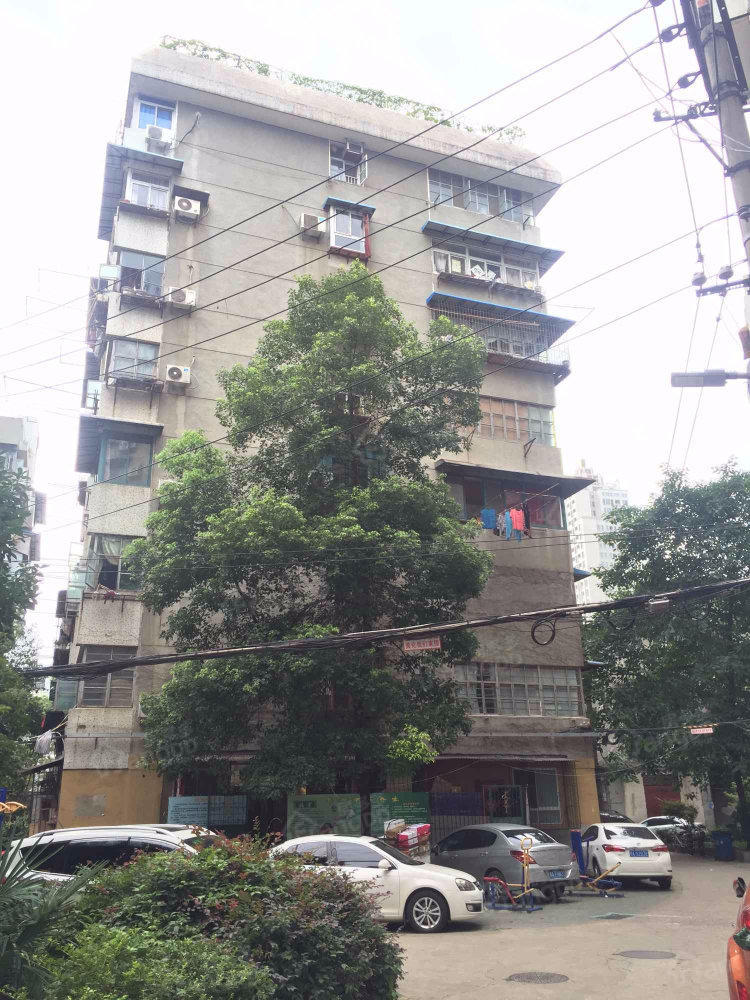 惠济二路税务所宿舍小区图片