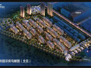 城市新区